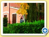ARTE E NATURA... 
